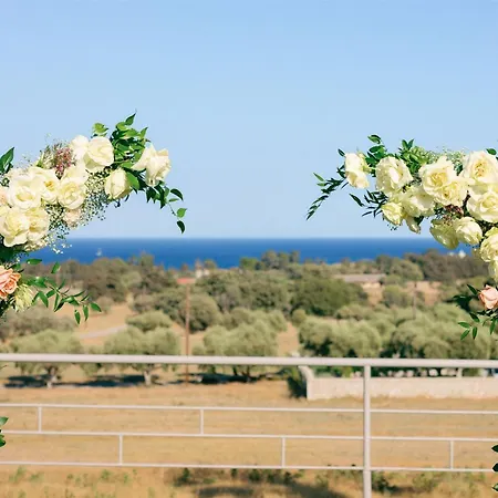 Blu Luxury فيلة *